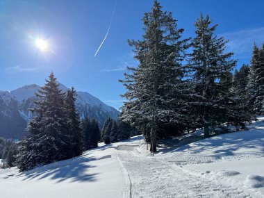 İsviçre Alpleri 'ndeki Valbella ve Lenzerheide tatil beldeleri bölgesinde yürüyüş, yürüyüş, yürüyüş, spor ve dinlenme için mükemmel bir şekilde düzenlenmiş ve temizlenmiş kış patikaları - İsviçre Grison Kantonu, İsviçre (Kanton Graubuenden, Schweiz)