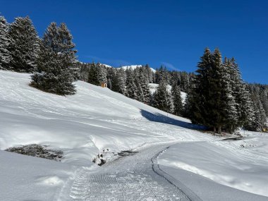 İsviçre Alpleri 'ndeki Valbella ve Lenzerheide tatil beldeleri bölgesinde yürüyüş, yürüyüş, yürüyüş, spor ve dinlenme için mükemmel bir şekilde düzenlenmiş ve temizlenmiş kış patikaları - İsviçre Grison Kantonu, İsviçre (Kanton Graubuenden, Schweiz)