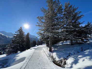 İsviçre Alpleri 'ndeki Valbella ve Lenzerheide tatil beldeleri bölgesinde yürüyüş, yürüyüş, yürüyüş, spor ve dinlenme için mükemmel bir şekilde düzenlenmiş ve temizlenmiş kış patikaları - İsviçre Grison Kantonu, İsviçre (Kanton Graubuenden, Schweiz)