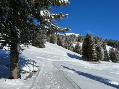 İsviçre Alpleri 'ndeki Valbella ve Lenzerheide tatil beldeleri bölgesinde yürüyüş, yürüyüş, yürüyüş, spor ve dinlenme için mükemmel bir şekilde düzenlenmiş ve temizlenmiş kış patikaları - İsviçre Grison Kantonu, İsviçre (Kanton Graubuenden, Schweiz)