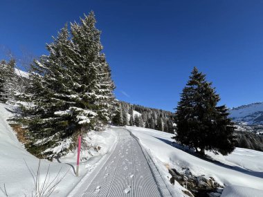 İsviçre Alpleri 'ndeki Valbella ve Lenzerheide tatil beldeleri bölgesinde yürüyüş, yürüyüş, yürüyüş, spor ve dinlenme için mükemmel bir şekilde düzenlenmiş ve temizlenmiş kış patikaları - İsviçre Grison Kantonu, İsviçre (Kanton Graubuenden, Schweiz)