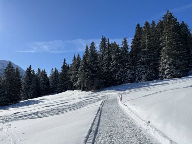 İsviçre Alpleri 'ndeki Valbella ve Lenzerheide tatil beldeleri bölgesinde yürüyüş, yürüyüş, yürüyüş, spor ve dinlenme için mükemmel bir şekilde düzenlenmiş ve temizlenmiş kış patikaları - İsviçre Grison Kantonu, İsviçre (Kanton Graubuenden, Schweiz)