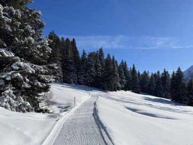 İsviçre Alpleri 'ndeki Valbella ve Lenzerheide tatil beldeleri bölgesinde yürüyüş, yürüyüş, yürüyüş, spor ve dinlenme için mükemmel bir şekilde düzenlenmiş ve temizlenmiş kış patikaları - İsviçre Grison Kantonu, İsviçre (Kanton Graubuenden, Schweiz)
