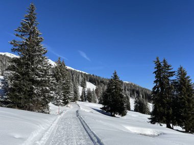 İsviçre Alpleri 'ndeki Valbella ve Lenzerheide tatil beldeleri bölgesinde yürüyüş, yürüyüş, yürüyüş, spor ve dinlenme için mükemmel bir şekilde düzenlenmiş ve temizlenmiş kış patikaları - İsviçre Grison Kantonu, İsviçre (Kanton Graubuenden, Schweiz)