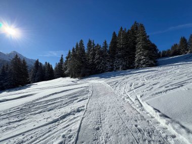 İsviçre Alpleri 'ndeki Valbella ve Lenzerheide tatil beldeleri bölgesinde yürüyüş, yürüyüş, yürüyüş, spor ve dinlenme için mükemmel bir şekilde düzenlenmiş ve temizlenmiş kış patikaları - İsviçre Grison Kantonu, İsviçre (Kanton Graubuenden, Schweiz)
