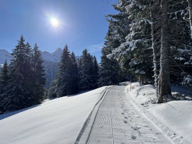 İsviçre Alpleri 'ndeki Valbella ve Lenzerheide tatil beldeleri bölgesinde yürüyüş, yürüyüş, yürüyüş, spor ve dinlenme için mükemmel bir şekilde düzenlenmiş ve temizlenmiş kış patikaları - İsviçre Grison Kantonu, İsviçre (Kanton Graubuenden, Schweiz)