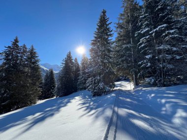 İsviçre Alpleri 'ndeki Valbella ve Lenzerheide tatil beldeleri bölgesinde yürüyüş, yürüyüş, yürüyüş, spor ve dinlenme için mükemmel bir şekilde düzenlenmiş ve temizlenmiş kış patikaları - İsviçre Grison Kantonu, İsviçre (Kanton Graubuenden, Schweiz)