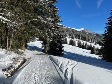İsviçre Alpleri 'ndeki Valbella ve Lenzerheide tatil beldeleri bölgesinde yürüyüş, yürüyüş, yürüyüş, spor ve dinlenme için mükemmel bir şekilde düzenlenmiş ve temizlenmiş kış patikaları - İsviçre Grison Kantonu, İsviçre (Kanton Graubuenden, Schweiz)