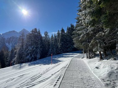 İsviçre Alpleri 'ndeki Valbella ve Lenzerheide tatil beldeleri bölgesinde yürüyüş, yürüyüş, yürüyüş, spor ve dinlenme için mükemmel bir şekilde düzenlenmiş ve temizlenmiş kış patikaları - İsviçre Grison Kantonu, İsviçre (Kanton Graubuenden, Schweiz)