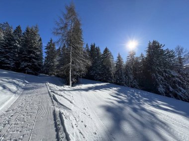 İsviçre Alpleri 'ndeki Valbella ve Lenzerheide tatil beldeleri bölgesinde yürüyüş, yürüyüş, yürüyüş, spor ve dinlenme için mükemmel bir şekilde düzenlenmiş ve temizlenmiş kış patikaları - İsviçre Grison Kantonu, İsviçre (Kanton Graubuenden, Schweiz)