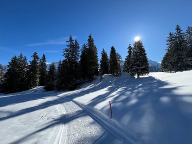 İsviçre Alpleri 'ndeki Valbella ve Lenzerheide tatil beldeleri bölgesinde yürüyüş, yürüyüş, yürüyüş, spor ve dinlenme için mükemmel bir şekilde düzenlenmiş ve temizlenmiş kış patikaları - İsviçre Grison Kantonu, İsviçre (Kanton Graubuenden, Schweiz)