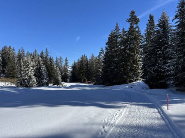 İsviçre Alpleri 'ndeki Valbella ve Lenzerheide tatil beldeleri bölgesinde yürüyüş, yürüyüş, yürüyüş, spor ve dinlenme için mükemmel bir şekilde düzenlenmiş ve temizlenmiş kış patikaları - İsviçre Grison Kantonu, İsviçre (Kanton Graubuenden, Schweiz)