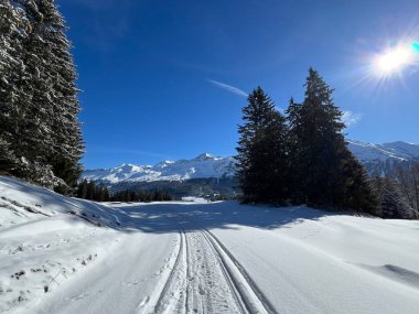 İsviçre Alpleri 'ndeki Valbella ve Lenzerheide tatil beldeleri bölgesinde yürüyüş, yürüyüş, yürüyüş, spor ve dinlenme için mükemmel bir şekilde düzenlenmiş ve temizlenmiş kış patikaları - İsviçre Grison Kantonu, İsviçre (Kanton Graubuenden, Schweiz)