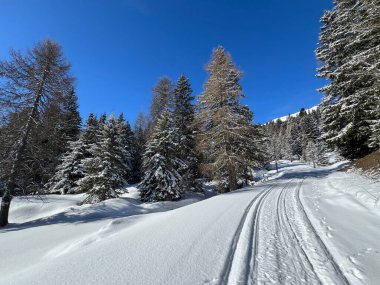 İsviçre Alpleri 'ndeki Valbella ve Lenzerheide tatil beldeleri bölgesinde yürüyüş, yürüyüş, yürüyüş, spor ve dinlenme için mükemmel bir şekilde düzenlenmiş ve temizlenmiş kış patikaları - İsviçre Grison Kantonu, İsviçre (Kanton Graubuenden, Schweiz)