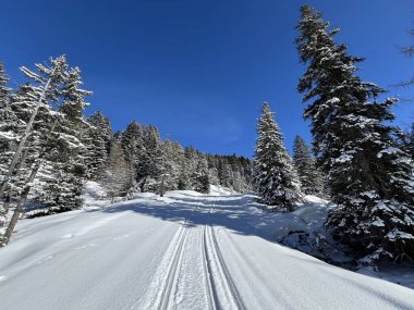 İsviçre Alpleri 'ndeki Valbella ve Lenzerheide tatil beldeleri bölgesinde yürüyüş, yürüyüş, yürüyüş, spor ve dinlenme için mükemmel bir şekilde düzenlenmiş ve temizlenmiş kış patikaları - İsviçre Grison Kantonu, İsviçre (Kanton Graubuenden, Schweiz)
