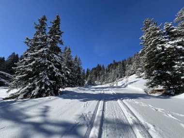 İsviçre Alpleri 'ndeki Valbella ve Lenzerheide tatil beldeleri bölgesinde yürüyüş, yürüyüş, yürüyüş, spor ve dinlenme için mükemmel bir şekilde düzenlenmiş ve temizlenmiş kış patikaları - İsviçre Grison Kantonu, İsviçre (Kanton Graubuenden, Schweiz)
