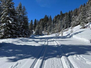 İsviçre Alpleri 'ndeki Valbella ve Lenzerheide tatil beldeleri bölgesinde yürüyüş, yürüyüş, yürüyüş, spor ve dinlenme için mükemmel bir şekilde düzenlenmiş ve temizlenmiş kış patikaları - İsviçre Grison Kantonu, İsviçre (Kanton Graubuenden, Schweiz)