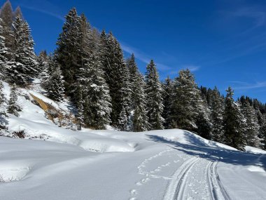 İsviçre Alpleri 'ndeki Valbella ve Lenzerheide tatil beldeleri bölgesinde yürüyüş, yürüyüş, yürüyüş, spor ve dinlenme için mükemmel bir şekilde düzenlenmiş ve temizlenmiş kış patikaları - İsviçre Grison Kantonu, İsviçre (Kanton Graubuenden, Schweiz)