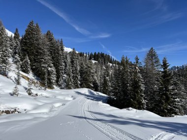 İsviçre Alpleri 'ndeki Valbella ve Lenzerheide tatil beldeleri bölgesinde yürüyüş, yürüyüş, yürüyüş, spor ve dinlenme için mükemmel bir şekilde düzenlenmiş ve temizlenmiş kış patikaları - İsviçre Grison Kantonu, İsviçre (Kanton Graubuenden, Schweiz)