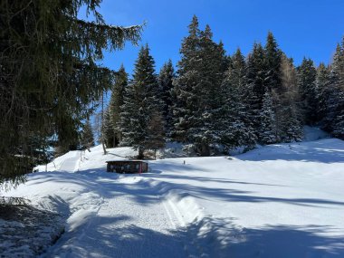 İsviçre Alpleri 'ndeki Valbella ve Lenzerheide tatil beldeleri bölgesinde yürüyüş, yürüyüş, yürüyüş, spor ve dinlenme için mükemmel bir şekilde düzenlenmiş ve temizlenmiş kış patikaları - İsviçre Grison Kantonu, İsviçre (Kanton Graubuenden, Schweiz)