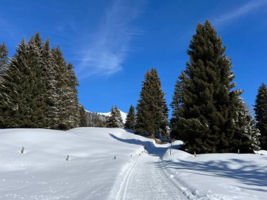 İsviçre Alpleri 'ndeki Valbella ve Lenzerheide tatil beldeleri bölgesinde yürüyüş, yürüyüş, yürüyüş, spor ve dinlenme için mükemmel bir şekilde düzenlenmiş ve temizlenmiş kış patikaları - İsviçre Grison Kantonu, İsviçre (Kanton Graubuenden, Schweiz)