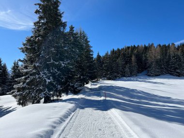 İsviçre Alpleri 'ndeki Valbella ve Lenzerheide tatil beldeleri bölgesinde yürüyüş, yürüyüş, yürüyüş, spor ve dinlenme için mükemmel bir şekilde düzenlenmiş ve temizlenmiş kış patikaları - İsviçre Grison Kantonu, İsviçre (Kanton Graubuenden, Schweiz)