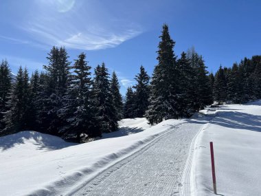 İsviçre Alpleri 'ndeki Valbella ve Lenzerheide tatil beldeleri bölgesinde yürüyüş, yürüyüş, yürüyüş, spor ve dinlenme için mükemmel bir şekilde düzenlenmiş ve temizlenmiş kış patikaları - İsviçre Grison Kantonu, İsviçre (Kanton Graubuenden, Schweiz)