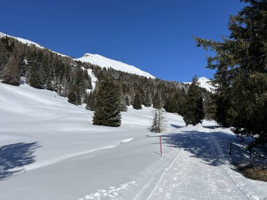 İsviçre Alpleri 'ndeki Valbella ve Lenzerheide tatil beldeleri bölgesinde yürüyüş, yürüyüş, yürüyüş, spor ve dinlenme için mükemmel bir şekilde düzenlenmiş ve temizlenmiş kış patikaları - İsviçre Grison Kantonu, İsviçre (Kanton Graubuenden, Schweiz)