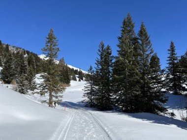 İsviçre Alpleri 'ndeki Valbella ve Lenzerheide tatil beldeleri bölgesinde yürüyüş, yürüyüş, yürüyüş, spor ve dinlenme için mükemmel bir şekilde düzenlenmiş ve temizlenmiş kış patikaları - İsviçre Grison Kantonu, İsviçre (Kanton Graubuenden, Schweiz)