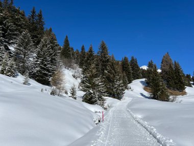 İsviçre Alpleri 'ndeki Valbella ve Lenzerheide tatil beldeleri bölgesinde yürüyüş, yürüyüş, yürüyüş, spor ve dinlenme için mükemmel bir şekilde düzenlenmiş ve temizlenmiş kış patikaları - İsviçre Grison Kantonu, İsviçre (Kanton Graubuenden, Schweiz)