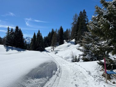 İsviçre Alpleri 'ndeki Valbella ve Lenzerheide tatil beldeleri bölgesinde yürüyüş, yürüyüş, yürüyüş, spor ve dinlenme için mükemmel bir şekilde düzenlenmiş ve temizlenmiş kış patikaları - İsviçre Grison Kantonu, İsviçre (Kanton Graubuenden, Schweiz)