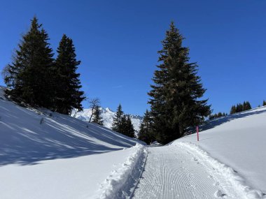 İsviçre Alpleri 'ndeki Valbella ve Lenzerheide tatil beldeleri bölgesinde yürüyüş, yürüyüş, yürüyüş, spor ve dinlenme için mükemmel bir şekilde düzenlenmiş ve temizlenmiş kış patikaları - İsviçre Grison Kantonu, İsviçre (Kanton Graubuenden, Schweiz)