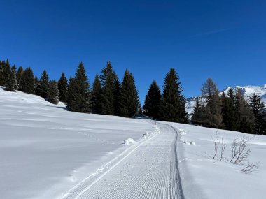 İsviçre Alpleri 'ndeki Valbella ve Lenzerheide tatil beldeleri bölgesinde yürüyüş, yürüyüş, yürüyüş, spor ve dinlenme için mükemmel bir şekilde düzenlenmiş ve temizlenmiş kış patikaları - İsviçre Grison Kantonu, İsviçre (Kanton Graubuenden, Schweiz)