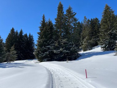 İsviçre Alpleri 'ndeki Valbella ve Lenzerheide tatil beldeleri bölgesinde yürüyüş, yürüyüş, yürüyüş, spor ve dinlenme için mükemmel bir şekilde düzenlenmiş ve temizlenmiş kış patikaları - İsviçre Grison Kantonu, İsviçre (Kanton Graubuenden, Schweiz)