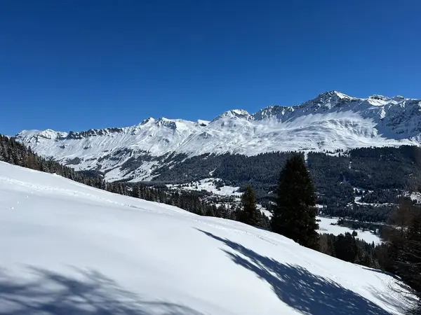 İsviçre Alpleri 'ndeki Valbella ve Lenzerheide dağlık tatil beldelerinde bir peri masalı kış atmosferi ve muhteşem bir manzara - İsviçre Grisons Kantonu, İsviçre (Kanton Graubuenden, Schweiz)