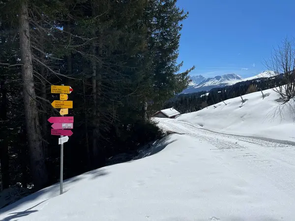 İsviçre Alpleri 'ndeki Valbella ve Lenzerheide tatil beldelerinin üstündeki sakin kış atmosferinde gezinme işaretleri ve yön işaretleri - İsviçre' nin Grison Kantonu, İsviçre (Kanton Graubuenden, Schweiz)