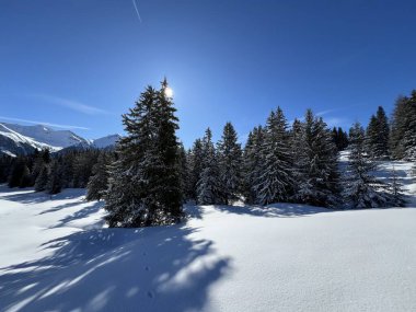 İsviçre Alpleri 'ndeki dağlık İsviçre turisti Valbella ve Lenzerheide' nin tepelerindeki karlı yamaçlarda güneş ışığı ve gölgenin büyülü oyunu - İsviçre 'nin Grison Kantonu, İsviçre (Kanton Graubuenden, Schweiz)