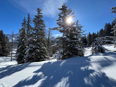 İsviçre Alpleri 'ndeki dağlık İsviçre turisti Valbella ve Lenzerheide' nin tepelerindeki karlı yamaçlarda güneş ışığı ve gölgenin büyülü oyunu - İsviçre 'nin Grison Kantonu, İsviçre (Kanton Graubuenden, Schweiz)