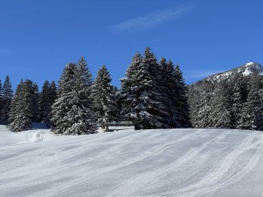 İsviçre Alpleri 'ndeki dağlık İsviçre turisti Valbella ve Lenzerheide' nin tepelerindeki karlı yamaçlarda güneş ışığı ve gölgenin büyülü oyunu - İsviçre 'nin Grison Kantonu, İsviçre (Kanton Graubuenden, Schweiz)