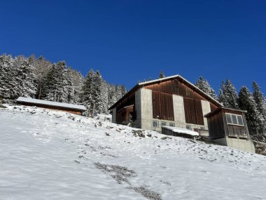 İsviçre Alpleri 'ndeki Valbella ve Lenzerheide tatil beldelerinin kış ortamlarında eski İsviçre kırsal mimarisi ve alp çiftlik hayvanları çiftlikleri - İsviçre Grison Kantonu, İsviçre (Kanton Graubuenden, Schweiz)