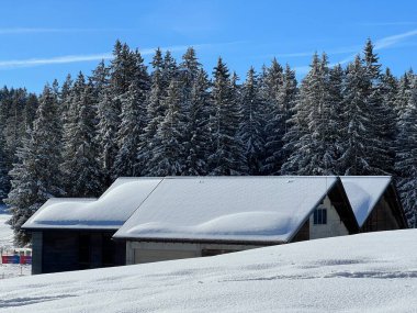 İsviçre Alpleri 'ndeki Valbella ve Lenzerheide tatil beldelerinin kış ortamlarında eski İsviçre kırsal mimarisi ve alp çiftlik hayvanları çiftlikleri - İsviçre Grison Kantonu, İsviçre (Kanton Graubuenden, Schweiz)