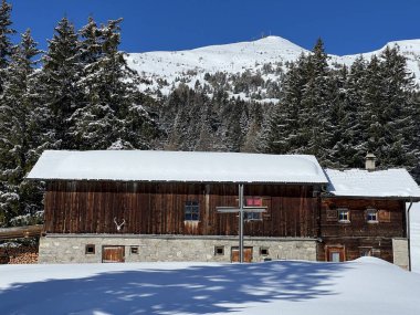 İsviçre Alpleri 'ndeki Valbella ve Lenzerheide tatil beldelerinin kış ortamlarında eski İsviçre kırsal mimarisi ve alp çiftlik hayvanları çiftlikleri - İsviçre Grison Kantonu, İsviçre (Kanton Graubuenden, Schweiz)