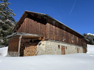 İsviçre Alpleri 'ndeki Valbella ve Lenzerheide tatil beldelerinin kış ortamlarında eski İsviçre kırsal mimarisi ve alp çiftlik hayvanları çiftlikleri - İsviçre Grison Kantonu, İsviçre (Kanton Graubuenden, Schweiz)