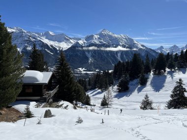 İsviçre Alpleri 'ndeki Valbella ve Lenzerheide tatil beldelerinin kış ortamlarında eski İsviçre kırsal mimarisi ve alp çiftlik hayvanları çiftlikleri - İsviçre Grison Kantonu, İsviçre (Kanton Graubuenden, Schweiz)