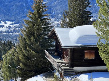 İsviçre Alpleri 'ndeki Valbella ve Lenzerheide tatil beldelerinin kış ortamlarında eski İsviçre kırsal mimarisi ve alp çiftlik hayvanları çiftlikleri - İsviçre Grison Kantonu, İsviçre (Kanton Graubuenden, Schweiz)