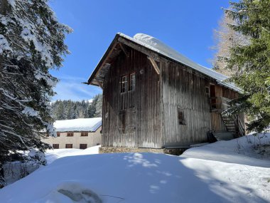 İsviçre Alpleri 'ndeki Valbella ve Lenzerheide tatil beldelerinin kış ortamlarında eski İsviçre kırsal mimarisi ve alp çiftlik hayvanları çiftlikleri - İsviçre Grison Kantonu, İsviçre (Kanton Graubuenden, Schweiz)