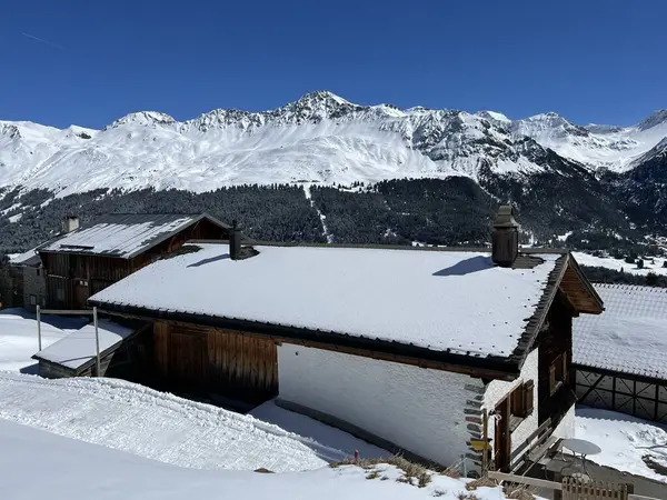 İsviçre Alpleri 'ndeki Valbella ve Lenzerheide tatil beldelerinin kış ortamlarında eski İsviçre kırsal mimarisi ve alp çiftlik hayvanları çiftlikleri - İsviçre Grison Kantonu, İsviçre (Kanton Graubuenden, Schweiz)