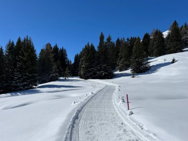 İsviçre Alplerindeki Valbella ve Lenzerheide (Kanton Graubuenden, Schweiz) tatil beldeleri bölgesinde yürüyüş, yürüyüş, yürüyüş, spor ve dinlenme için mükemmel bir şekilde düzenlenmiş ve temizlenmiş kış patikaları.)