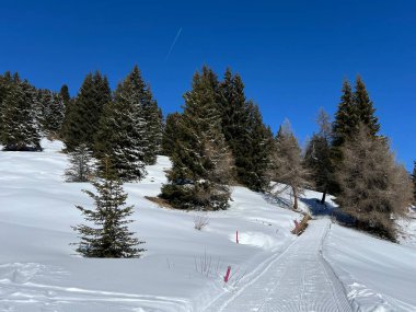 İsviçre Alplerindeki Valbella ve Lenzerheide (Kanton Graubuenden, Schweiz) tatil beldeleri bölgesinde yürüyüş, yürüyüş, yürüyüş, spor ve dinlenme için mükemmel bir şekilde düzenlenmiş ve temizlenmiş kış patikaları.)