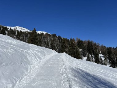 İsviçre Alplerindeki Valbella ve Lenzerheide (Kanton Graubuenden, Schweiz) tatil beldeleri bölgesinde yürüyüş, yürüyüş, yürüyüş, spor ve dinlenme için mükemmel bir şekilde düzenlenmiş ve temizlenmiş kış patikaları.)